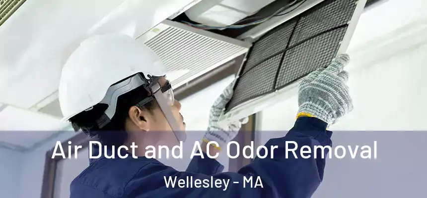 Air Duct and AC Odor Removal Wellesley - MA