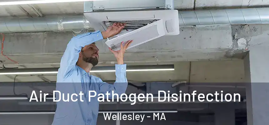 Air Duct Pathogen Disinfection Wellesley - MA