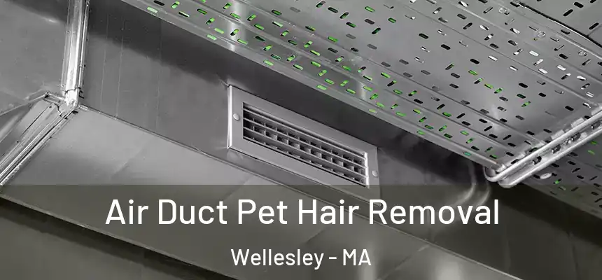  Air Duct Pet Hair Removal Wellesley - MA