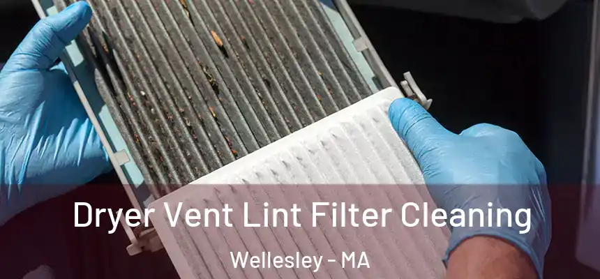 Dryer Vent Lint Filter Cleaning Wellesley - MA