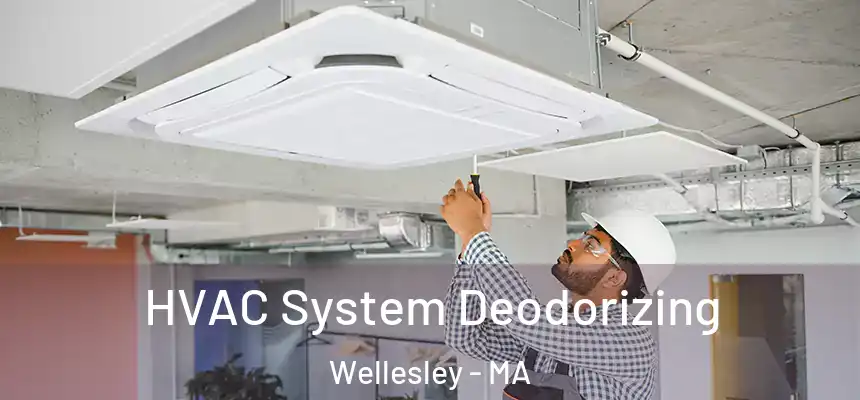  HVAC System Deodorizing Wellesley - MA