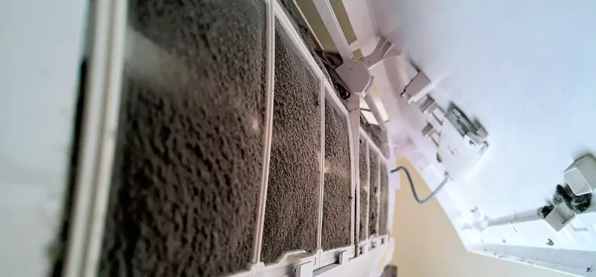 Preventive Air Duct Bacteria Removal in Wellesley