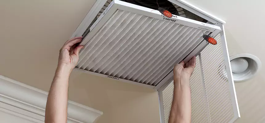 Preventive Cockroach-Proofing for Ducts in Wellesley