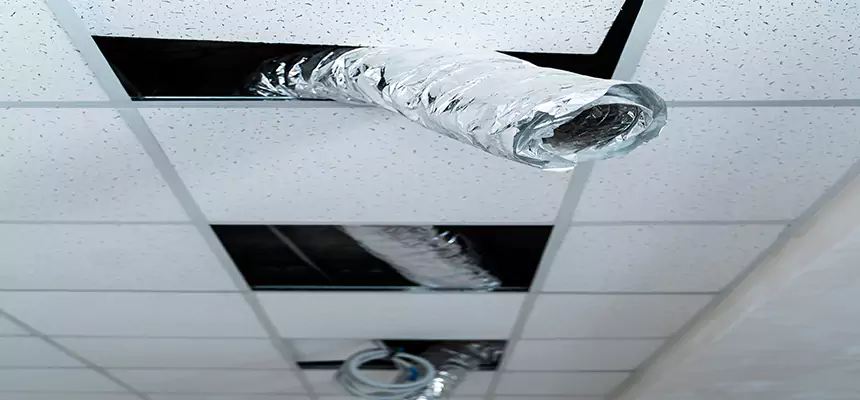 Our Air Duct Pet Hair Removal Services in Wellesley, MA