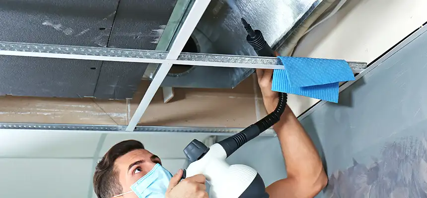 Our Air Duct Rodent Removal Services in Wellesley, MA