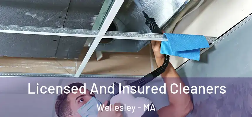  Licensed And Insured Cleaners Wellesley - MA