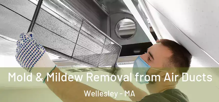  Mold & Mildew Removal from Air Ducts Wellesley - MA