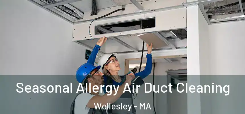 Seasonal Allergy Air Duct Cleaning Wellesley - MA