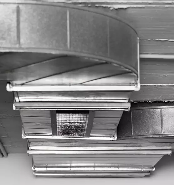 Professional Air Duct Pet Hair Removal in Wellesley, MA