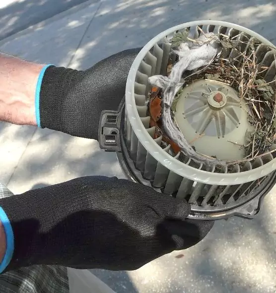 About Air Duct Rat Removal in Wellesley, MA