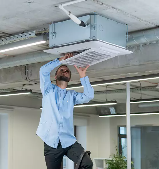 Advanced Rodent Droppings In Vents in Wellesley, MA