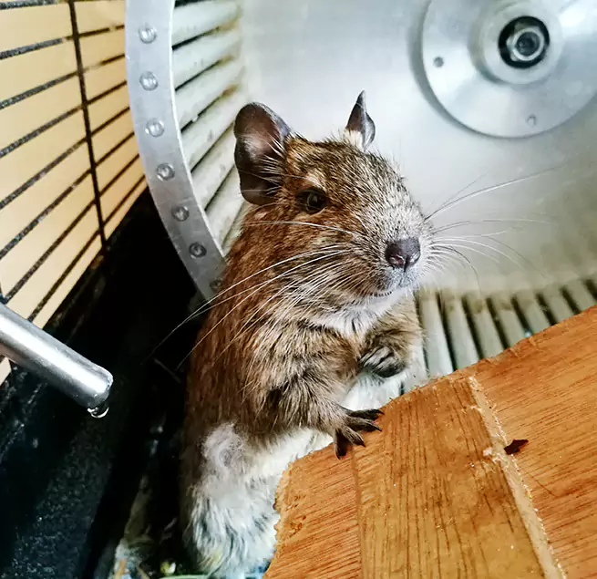 Why Homeowners & Businesses Trust Us Wellesley, MA?