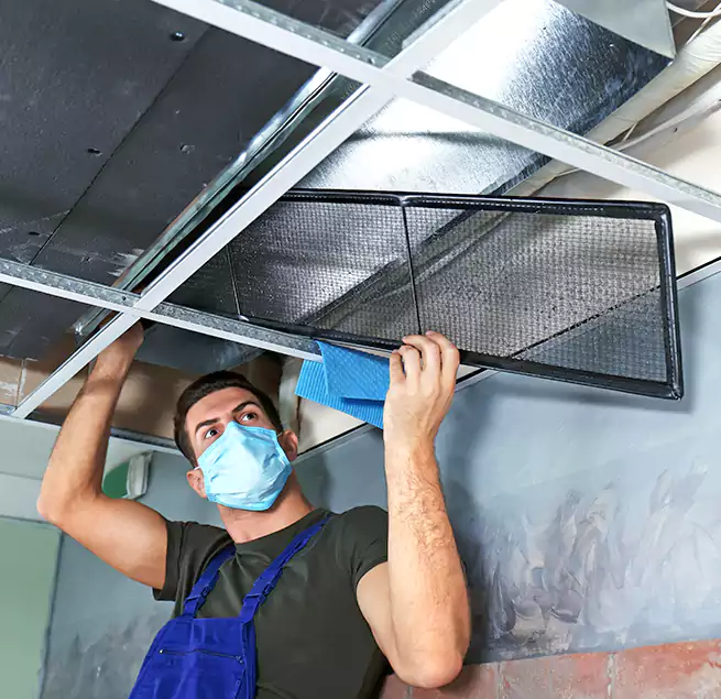 Why Homeowners Businesses Trust Us in Wellesley, MA