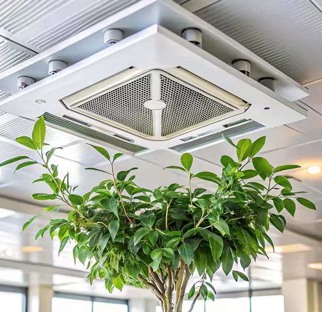 Why Homeowners & Businesses Trust Us in Wellesley, MA?